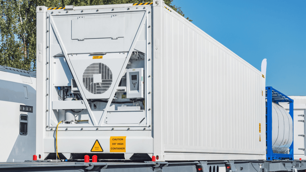 What Are Refrigerated Containers and How Do They Work?